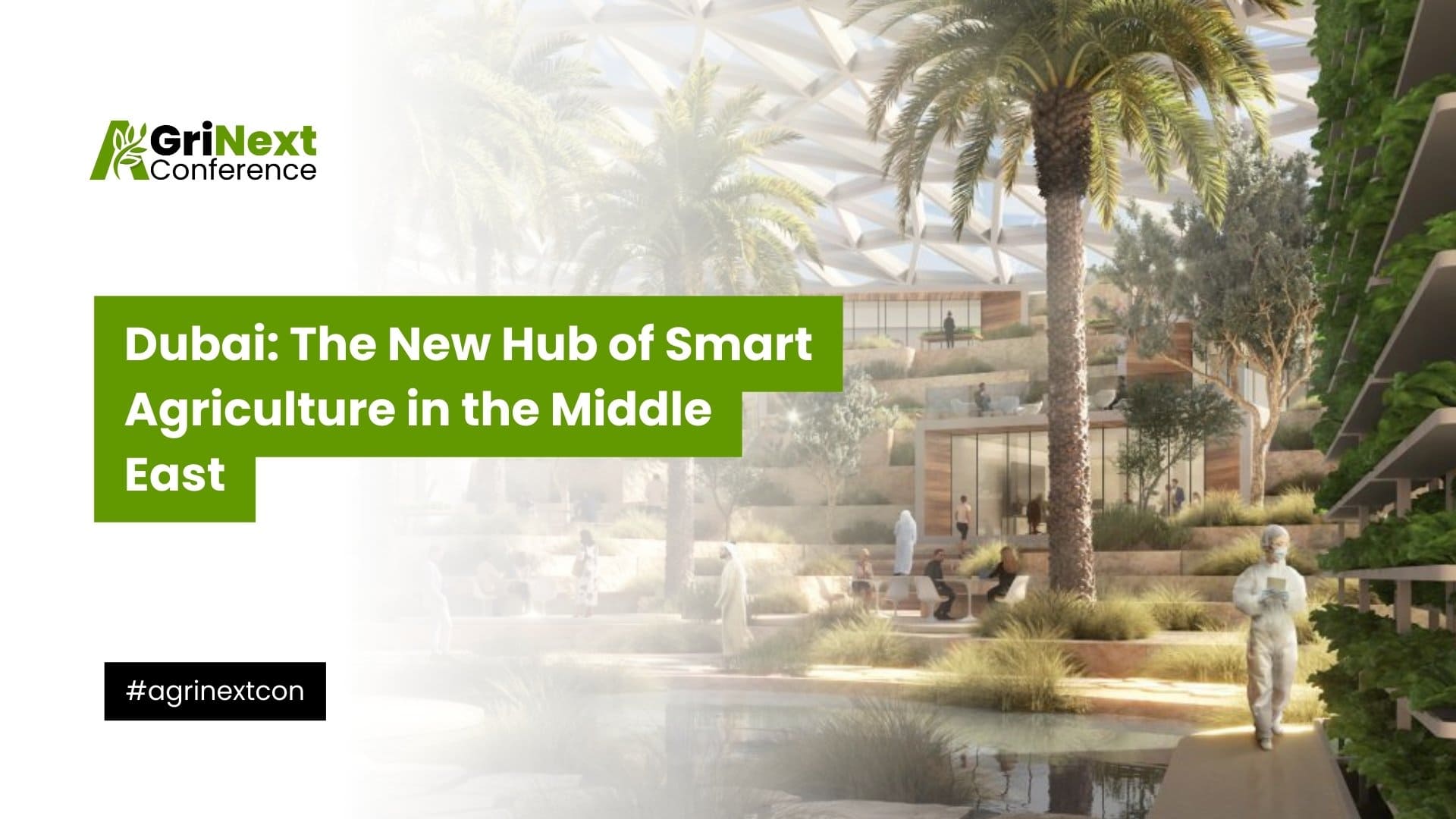Dubai: The New Hub of Smart Agriculture in the Middle East