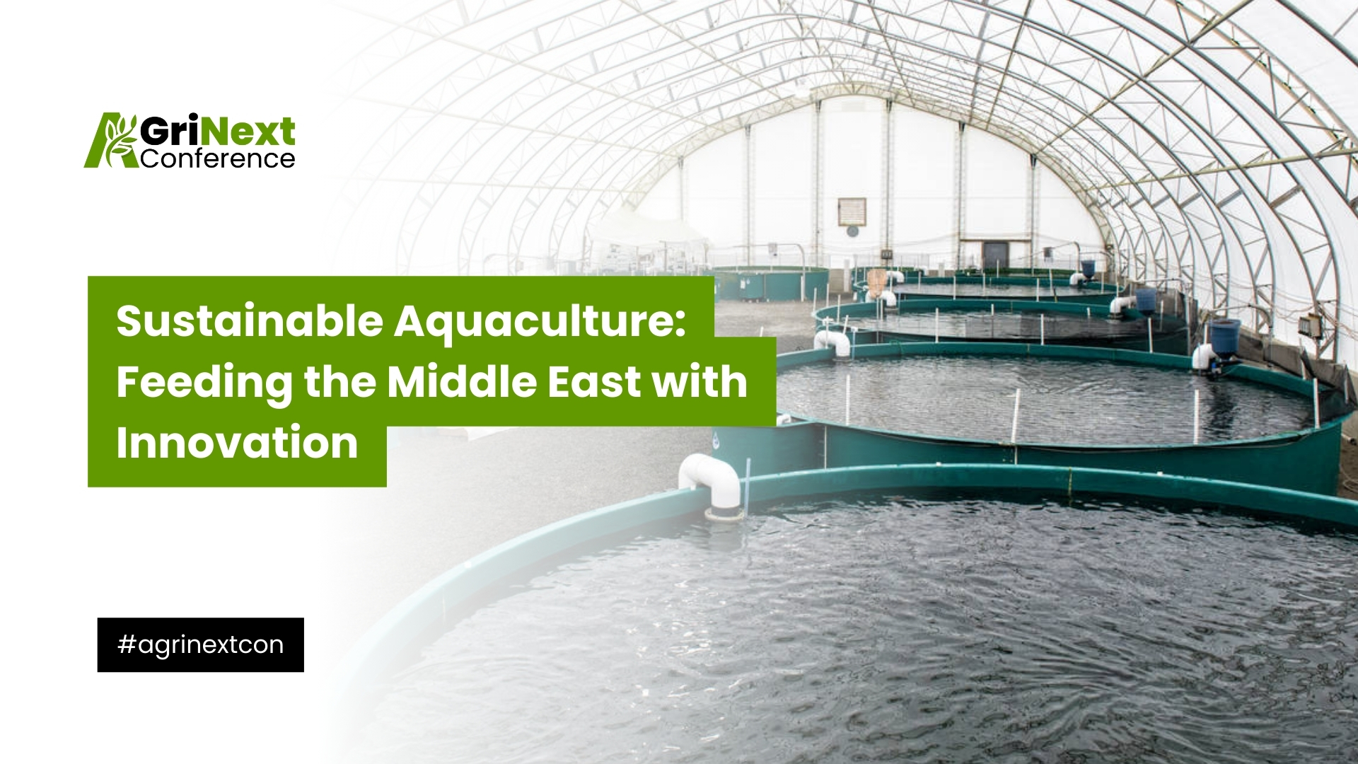Sustainable Aquaculture: Feeding the Middle East with Innovation