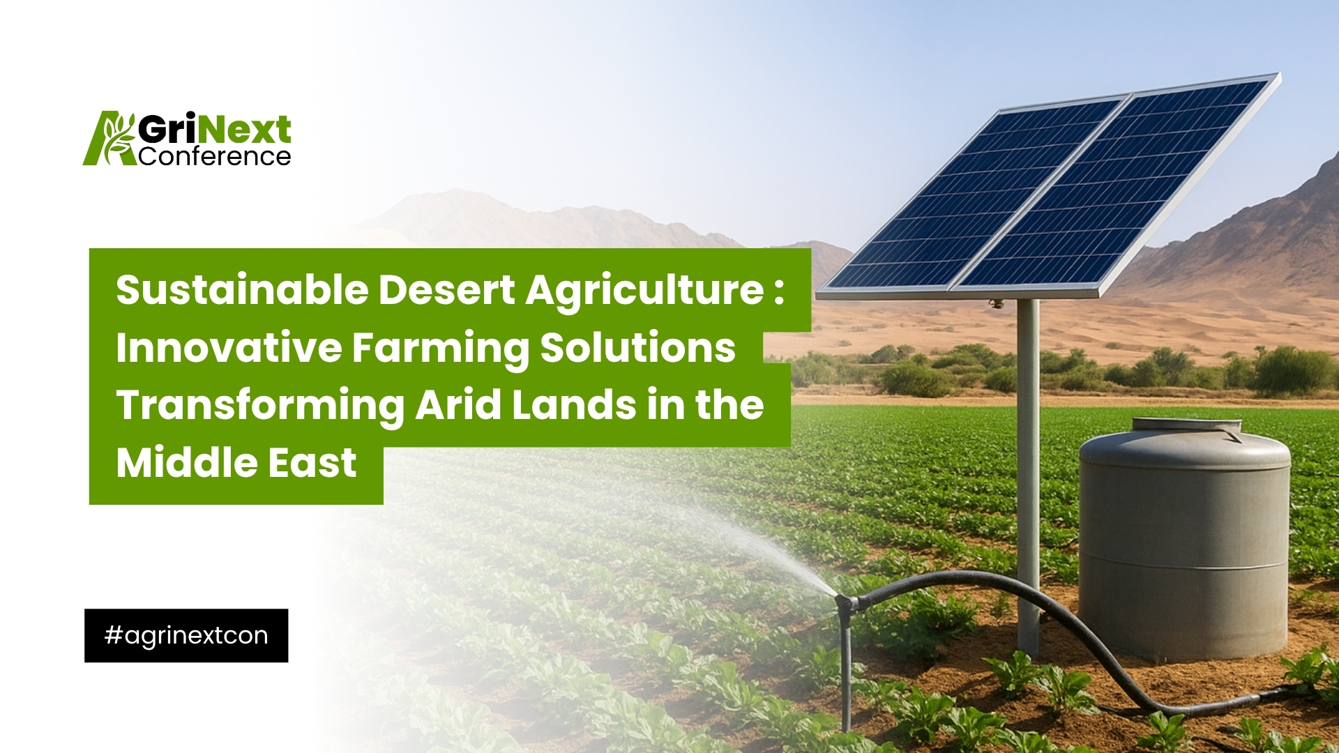 Sustainable Desert Agriculture: Innovative Farming Solutions Transforming Arid Lands in the Middle East