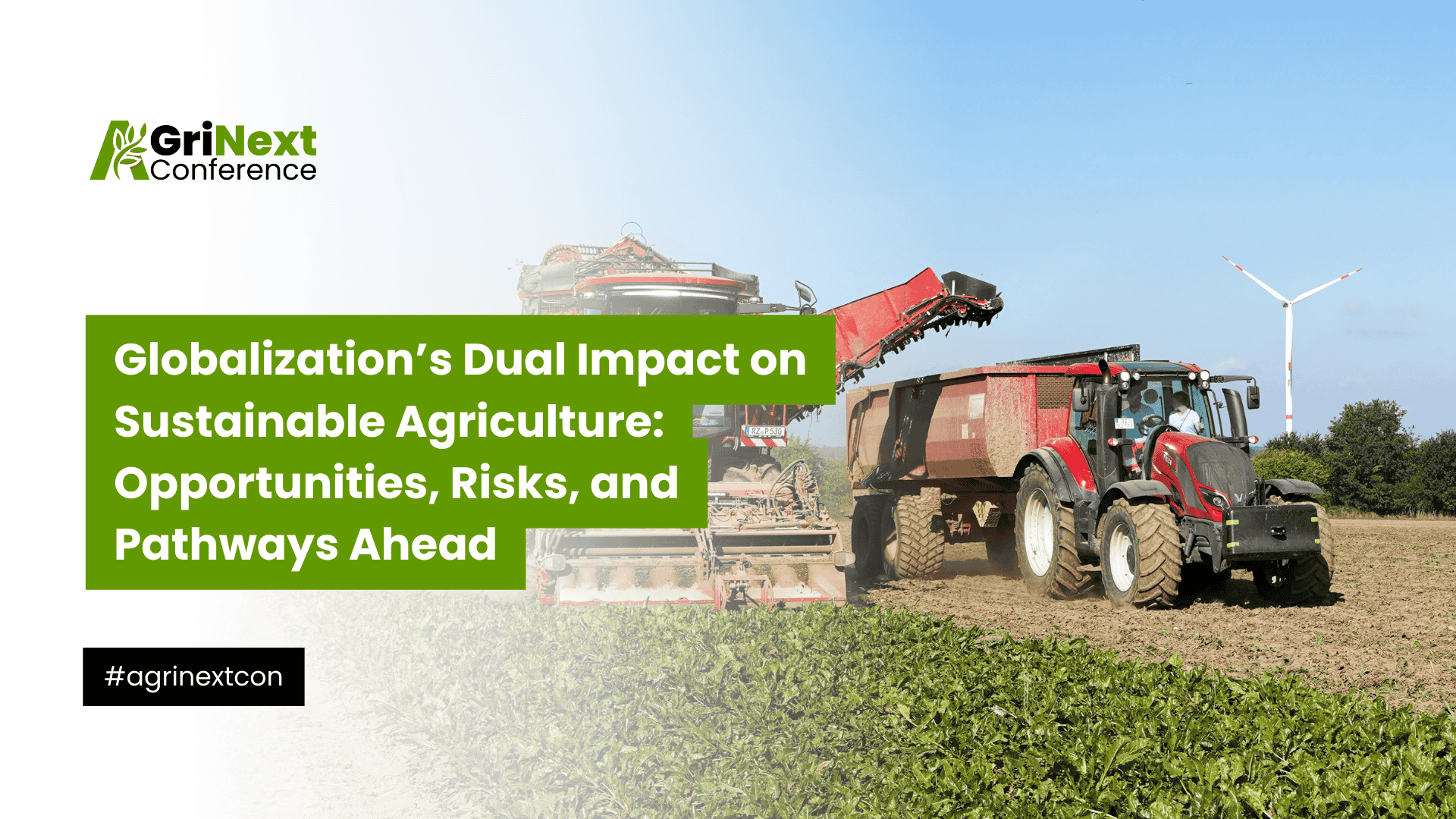Globalization’s Dual Impact on Sustainable Agriculture: Opportunities, Risks, and Pathways Ahead