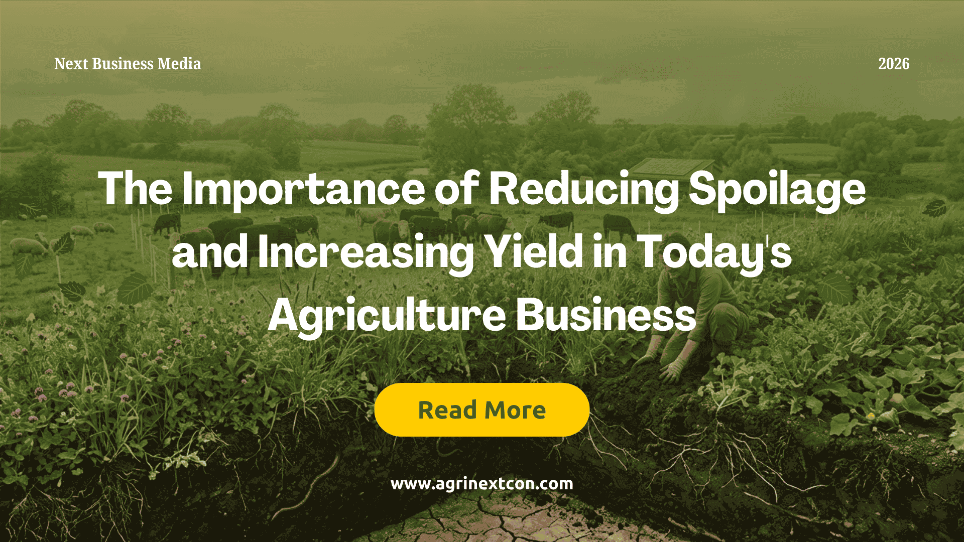 The Importance of Reducing Spoilage and Increasing Yield in Today's Agriculture Business