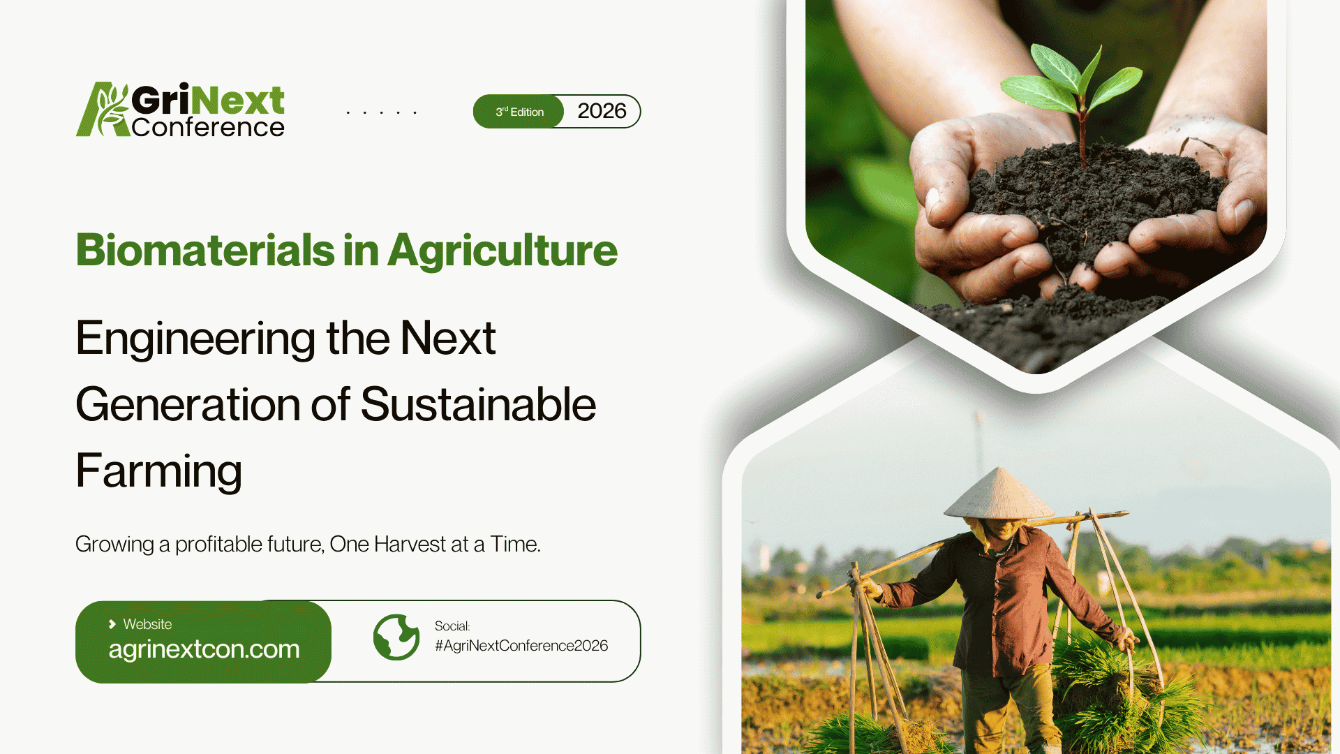 Biomaterials in Agriculture: Engineering the Next Generation of Sustainable Farming