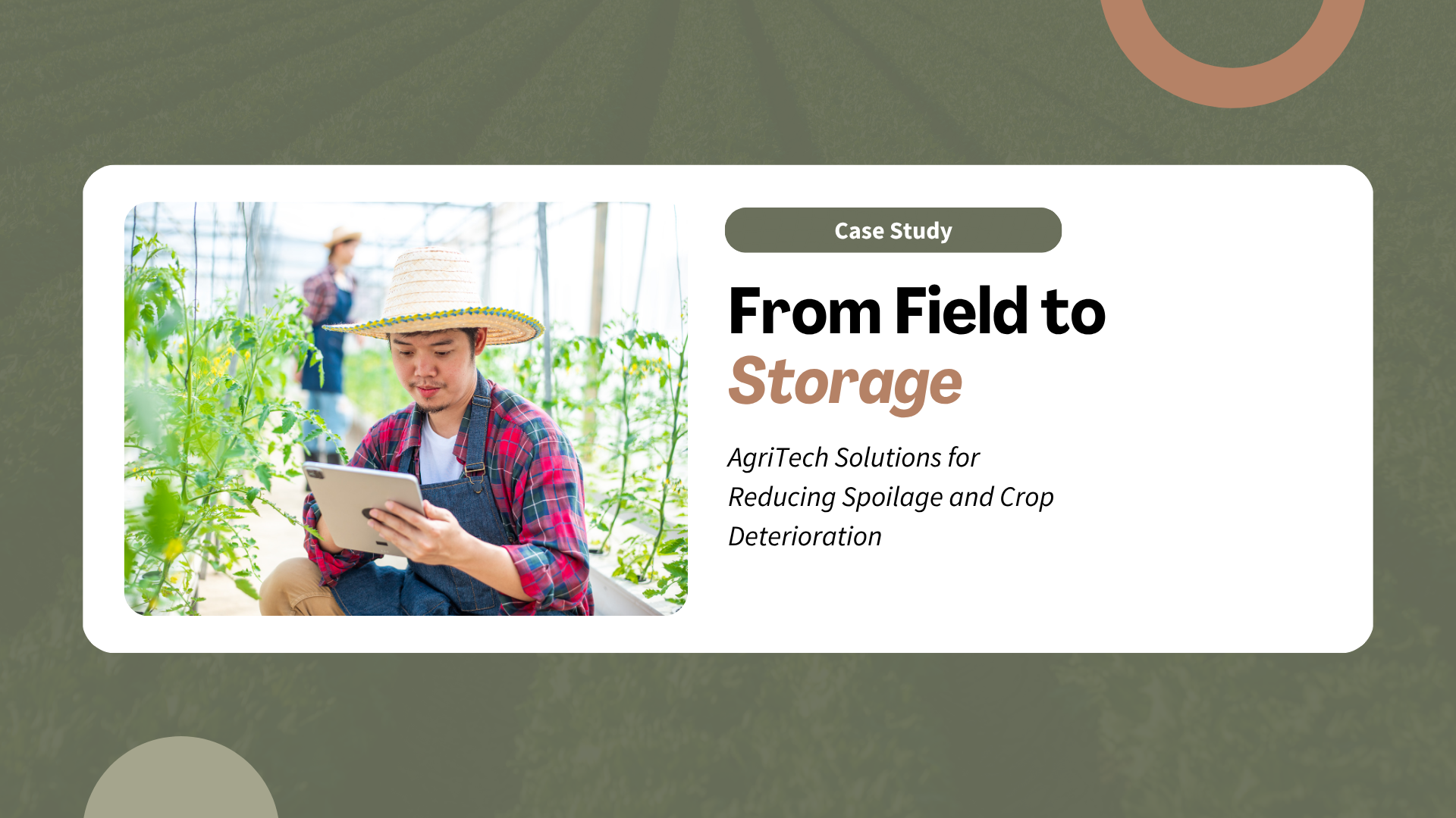 From Field to Storage: AgriTech Solutions forReducing Spoilage and Crop Deterioration
