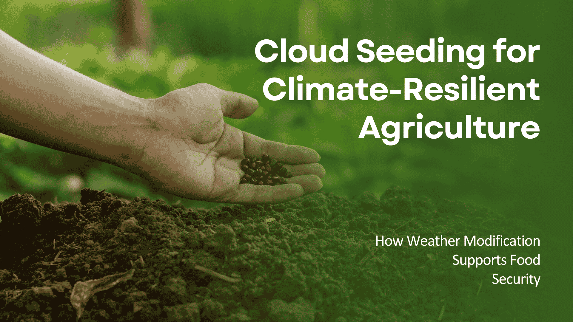 Cloud Seeding for Climate-Resilient Agriculture:How Weather Modification Supports FoodSecurity