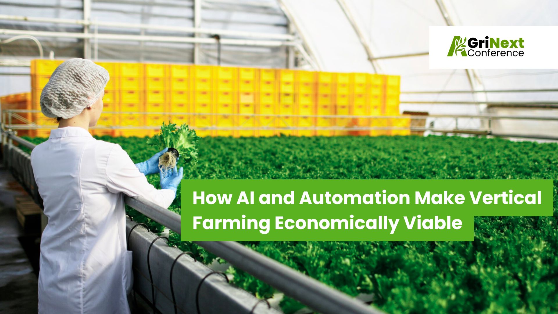 How AI and Automation Make Vertical Farming Economically Viable