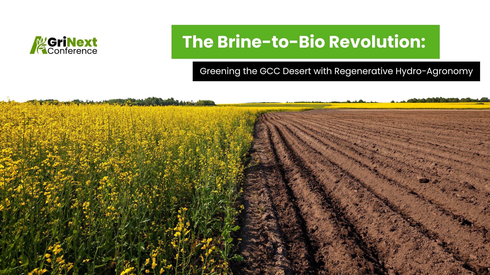 The Brine-to-Bio Revolution: Greening the GCC Desert with Regenerative Hydro-Agronomy