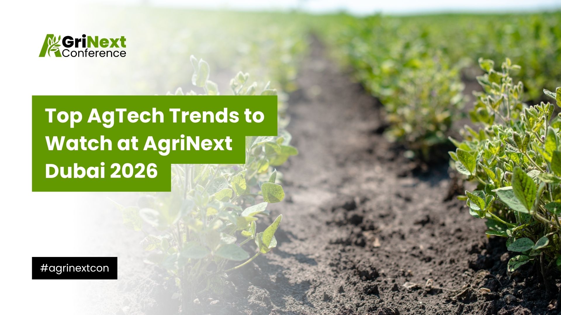 Top AgTech Trends to Watch at AgriNext Dubai 2026