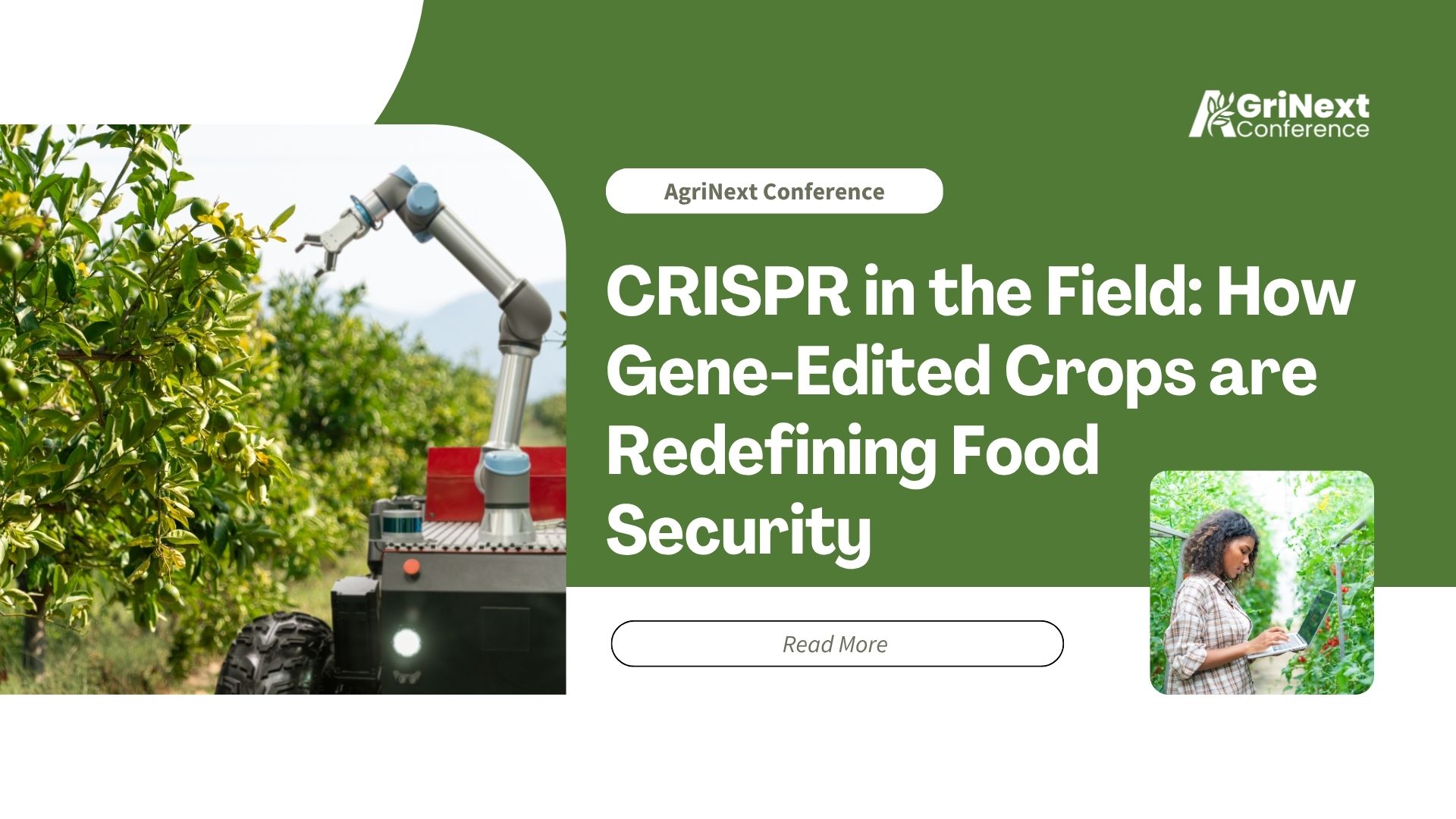 CRISPR in the Field: How Gene-Edited Crops are Redefining Food Security