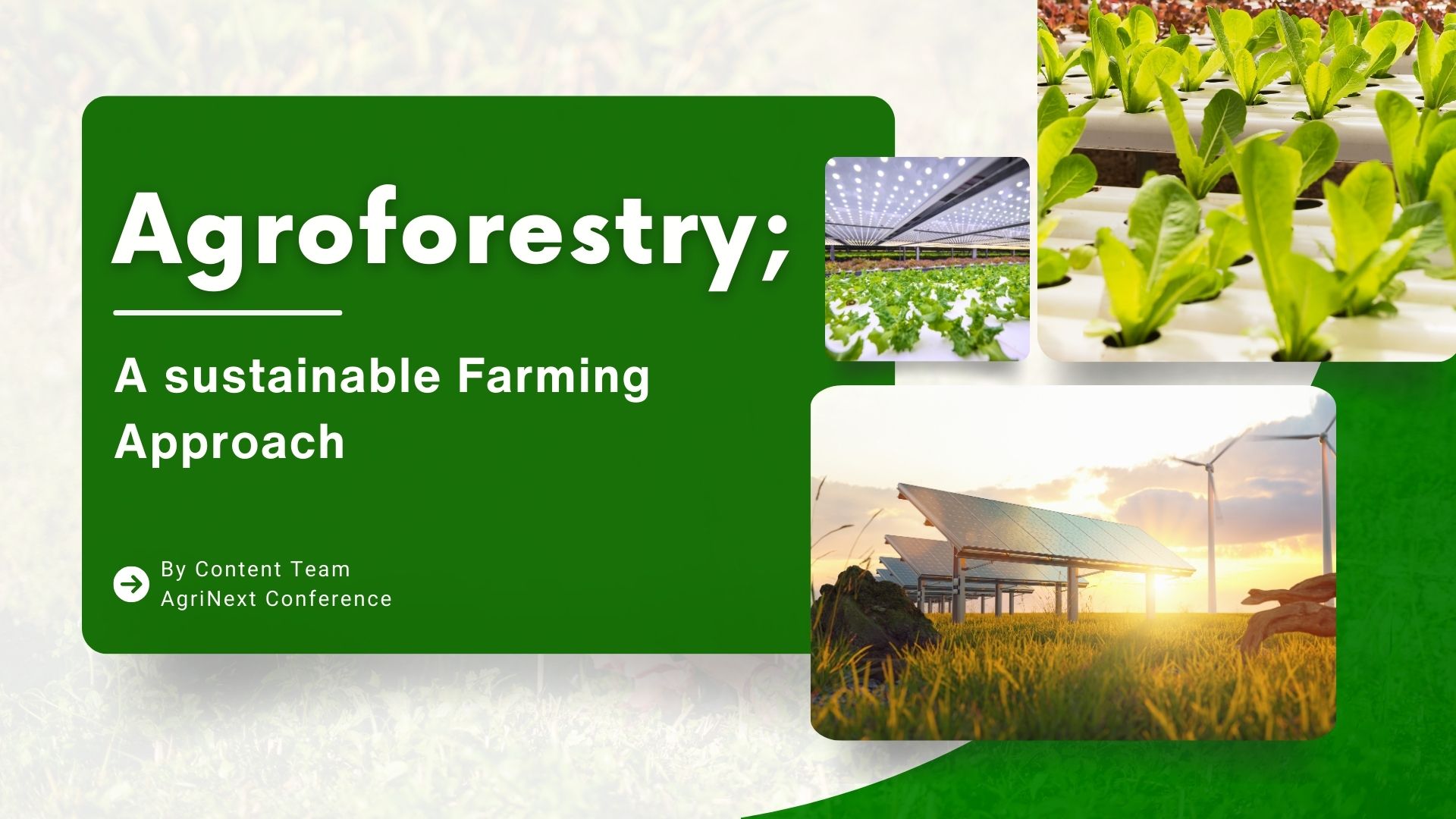 Agroforestry: A sustainable Farming Approach