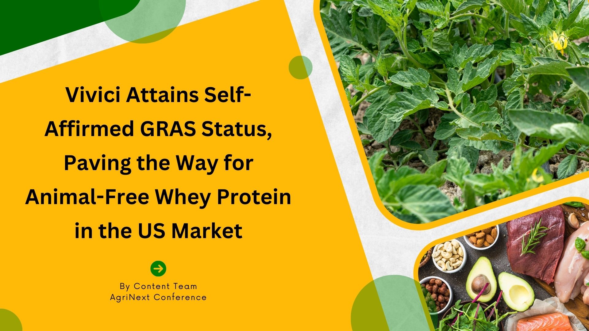 Vivici Attains Self-Affirmed GRAS Status, Paving the Way for Animal-Free Whey Protein in the US Market.