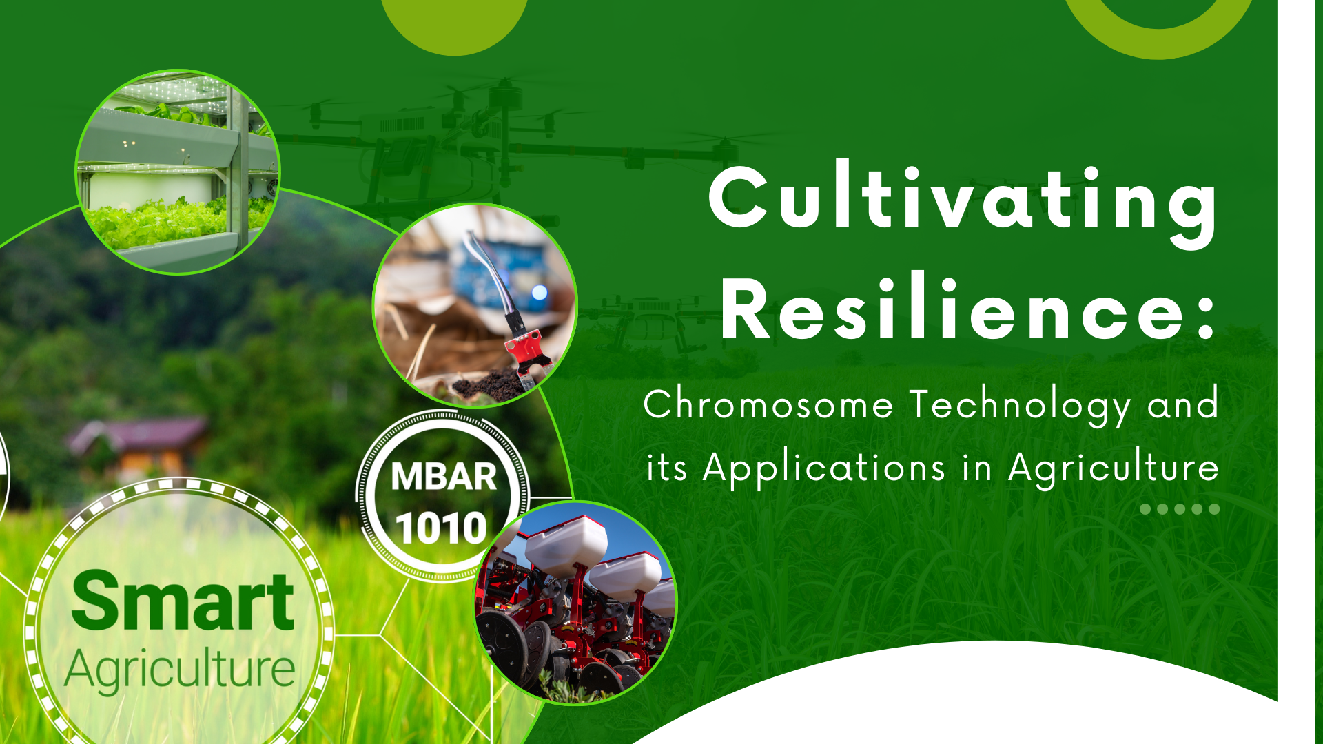 Cultivating Resilience: Chromosome Technology and its Applications in Agriculture