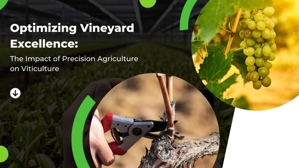 “Optimizing Vineyard Excellence: The Impact of Precision Agriculture on Viticulture