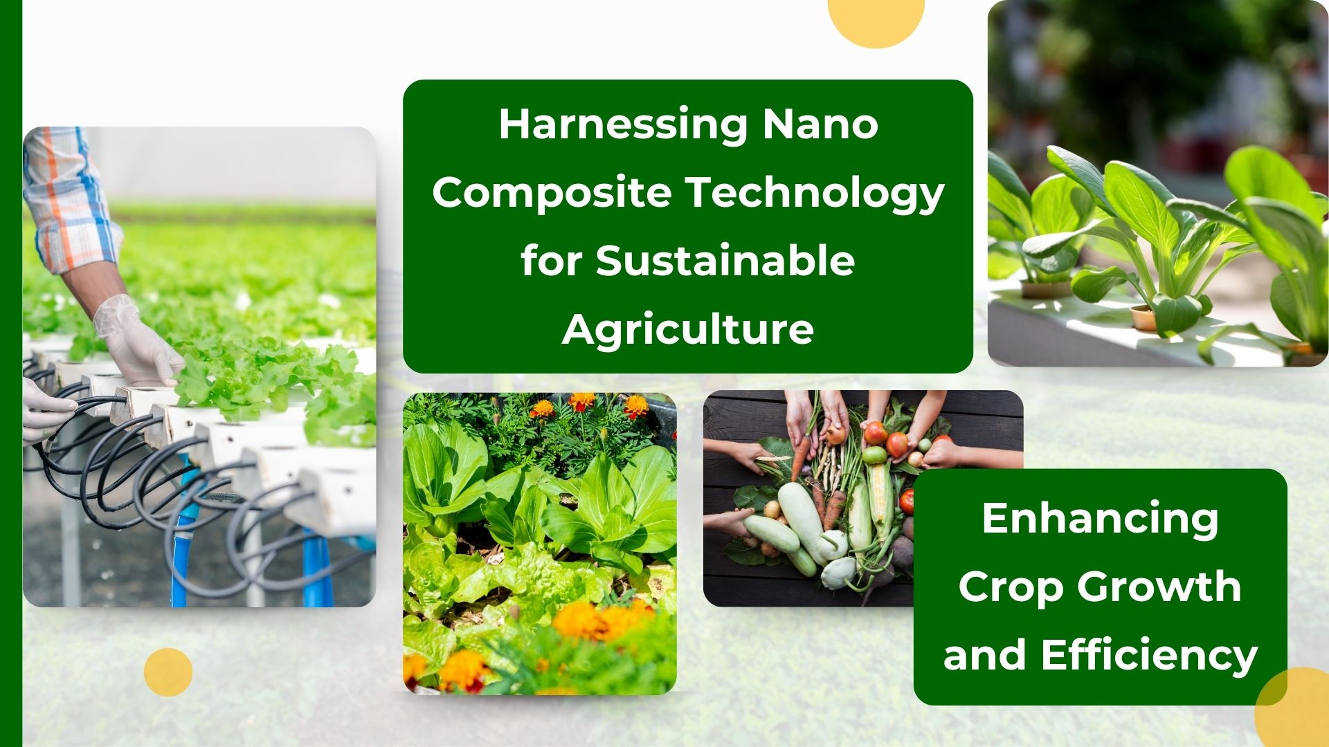 Harnessing Nano Composite Technology for Sustainable Agriculture: Enhancing Crop Growth and Efficiency