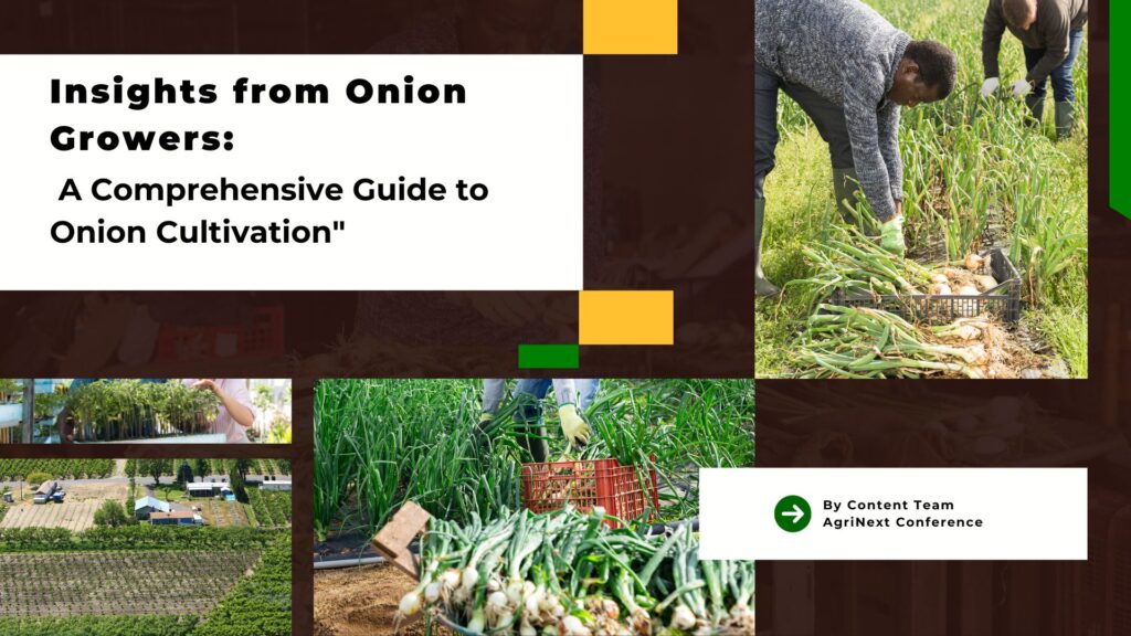 “Insights from Onion Growers: A Comprehensive Guide to Onion Cultivation”