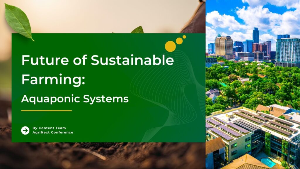 Future of Sustainable Farming: Aquaponic Systems