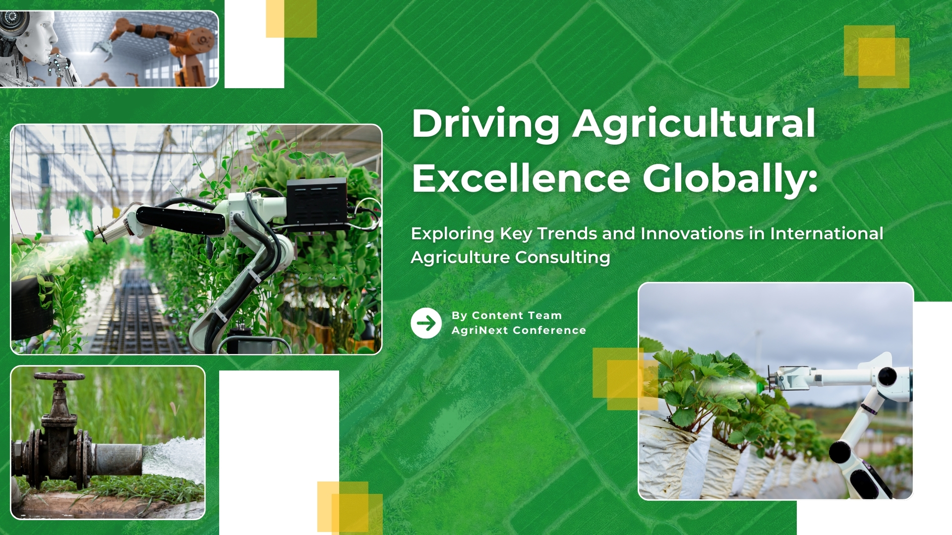 Driving Agricultural Excellence Globally: Exploring Key Trends and Innovations in International Agriculture Consulting
