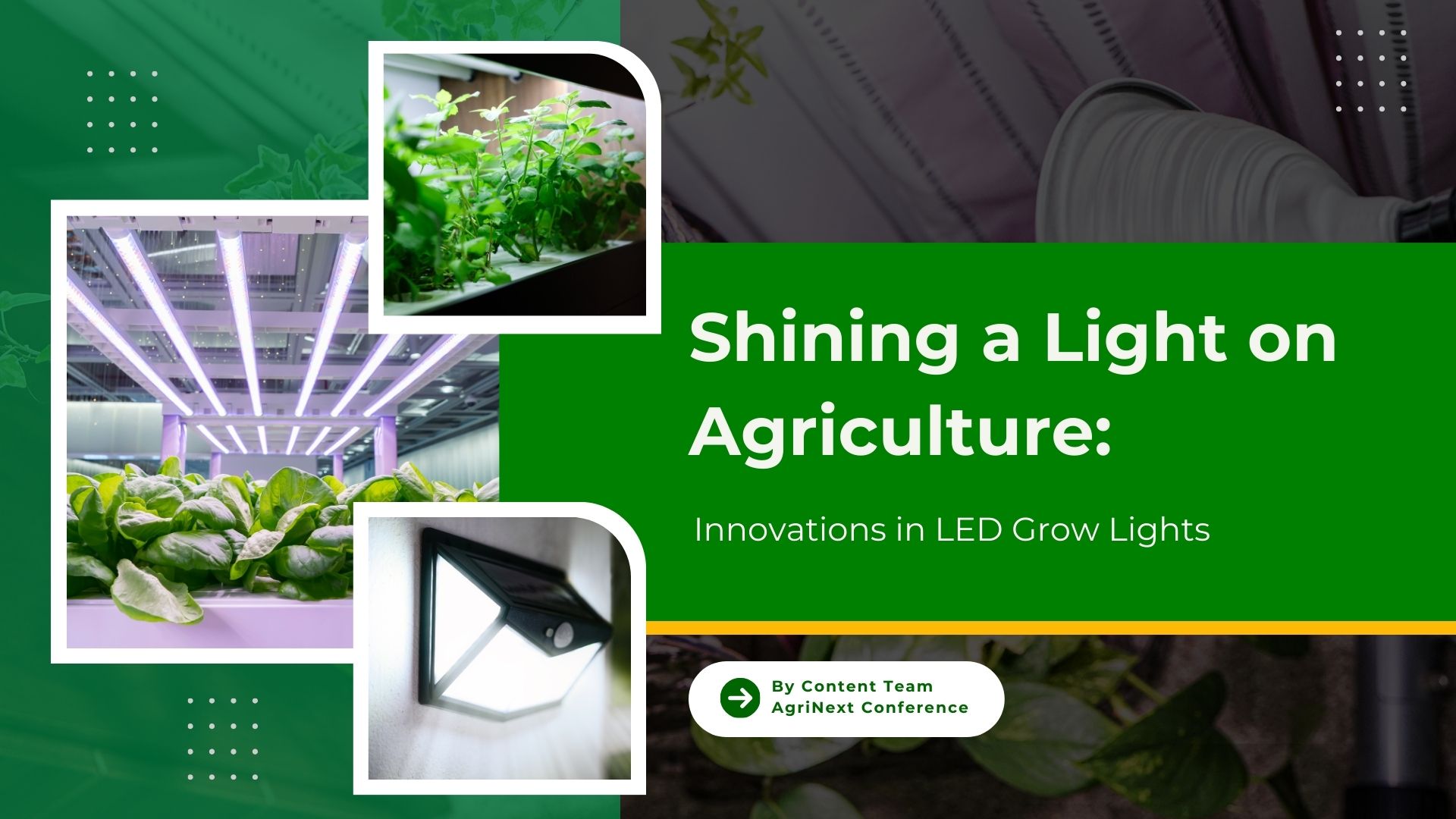 Shining a Light on Agriculture: Innovations in LED Grow Lights