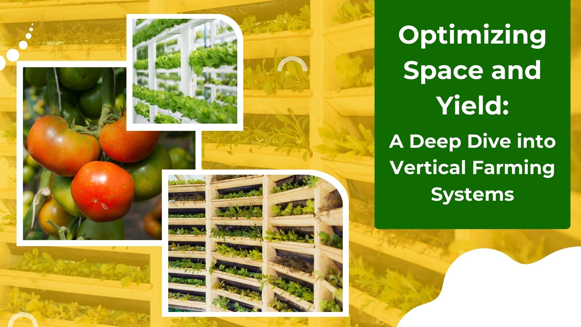Optimizing Space and Yield: A Deep Dive into Vertical Farming Systems
