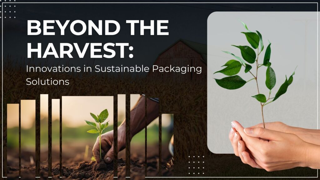 Beyond The Harvest: Innovations in Sustainable Packaging Solutions