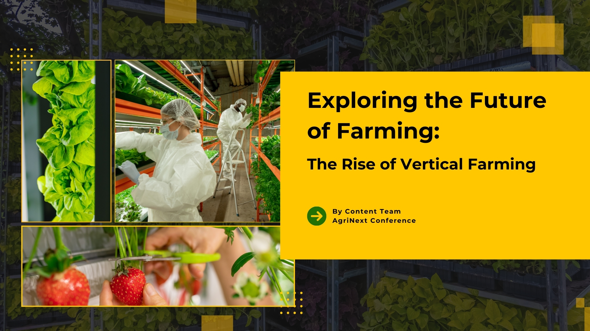 Exploring the Future of Farming: The Rise of Vertical Farming