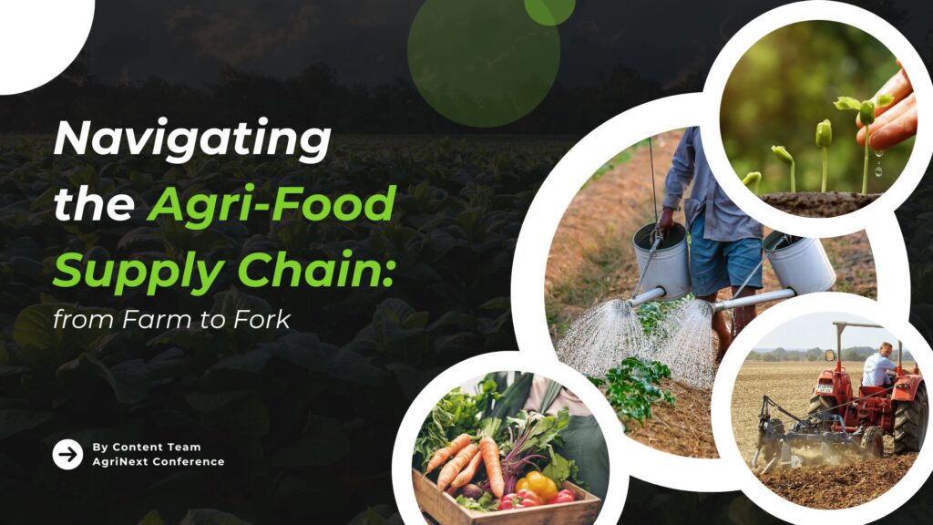 Navigating the Agri-Food Supply Chain: from Farm to Fork