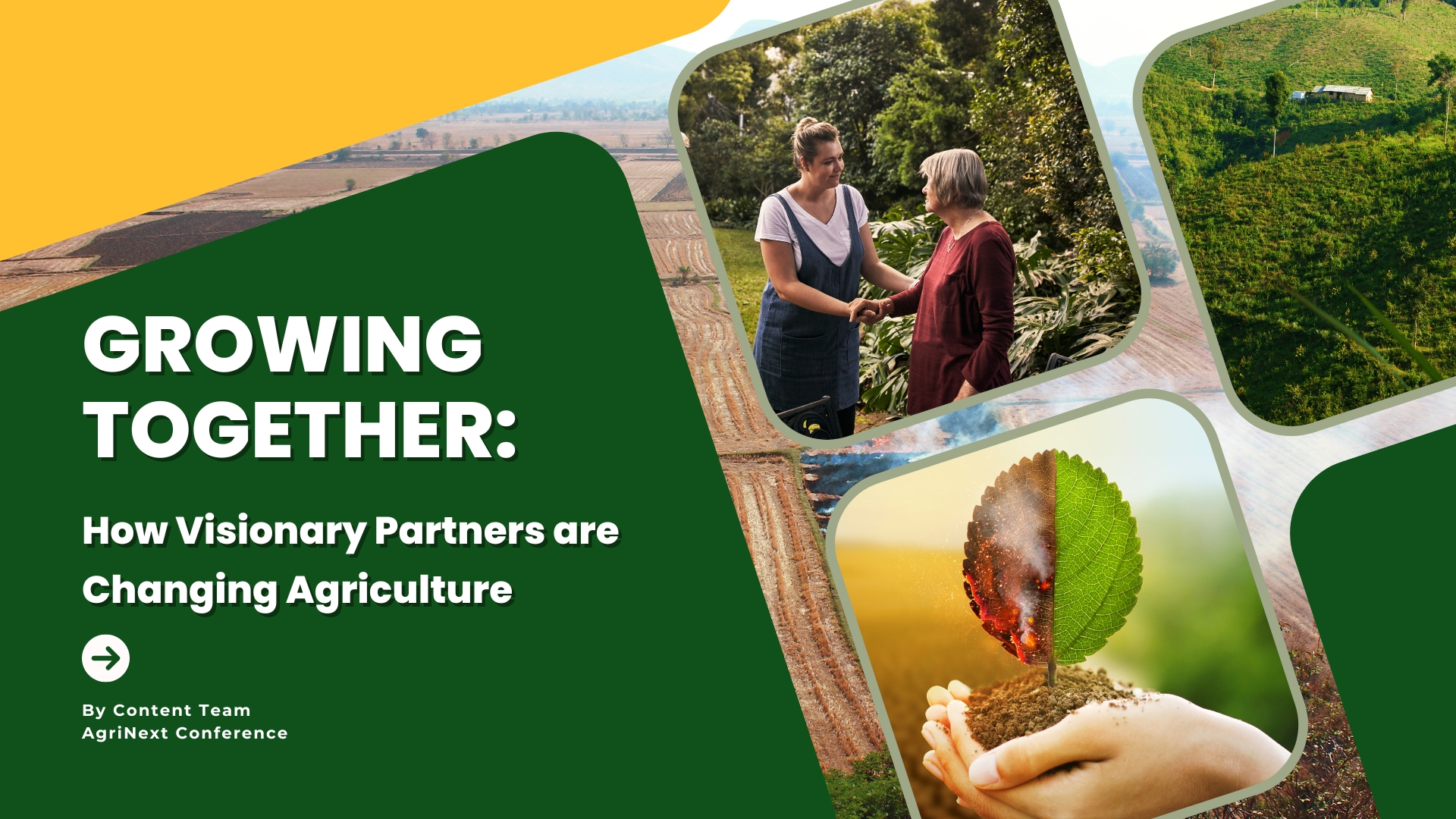 Growing Together: How Visionary Innovation Partners are Changing Agriculture
