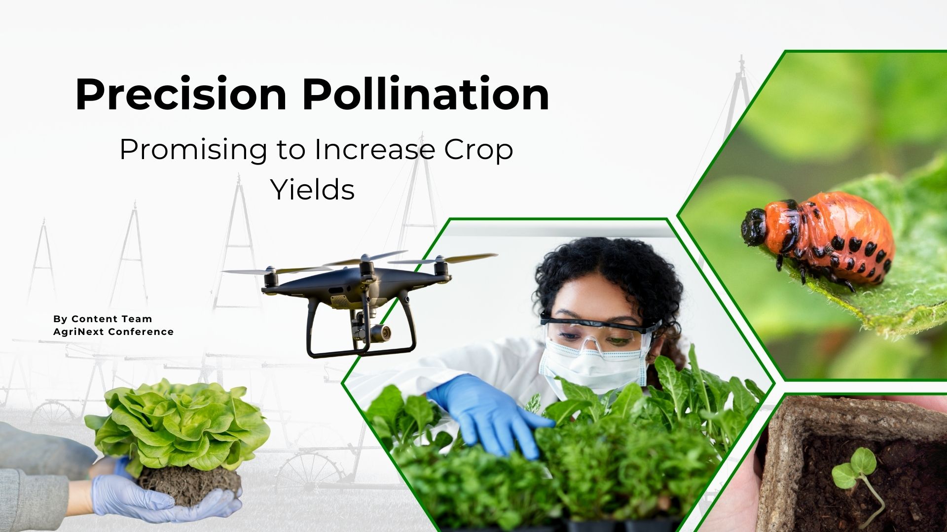 Precision Pollination: Promising to Increase Crop Yields