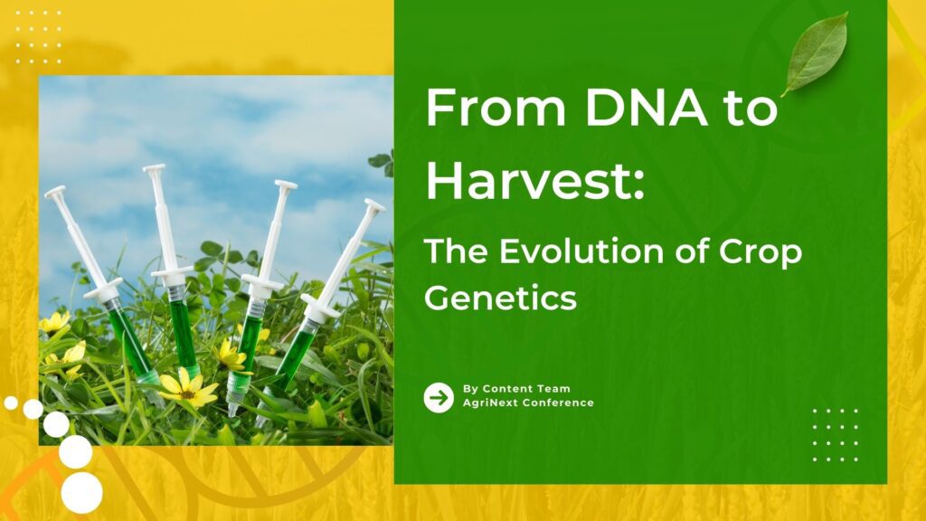 From DNA to Harvest: The Evolution of Crop Genetics