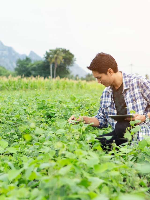 Harnessing the Power of Agroinformatics for Modern Agriculture