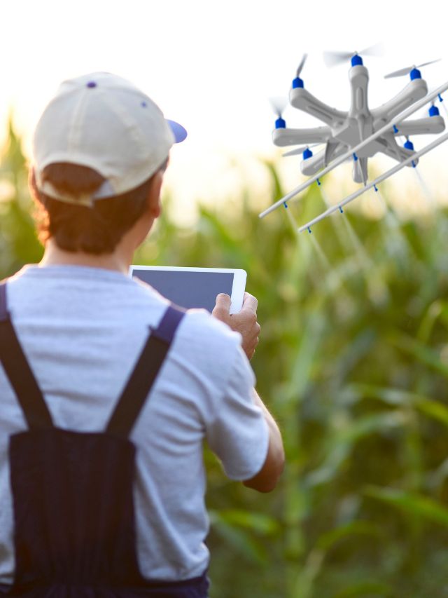 “Flying Over Farms: The Role of Drones in Transforming Agriculture”