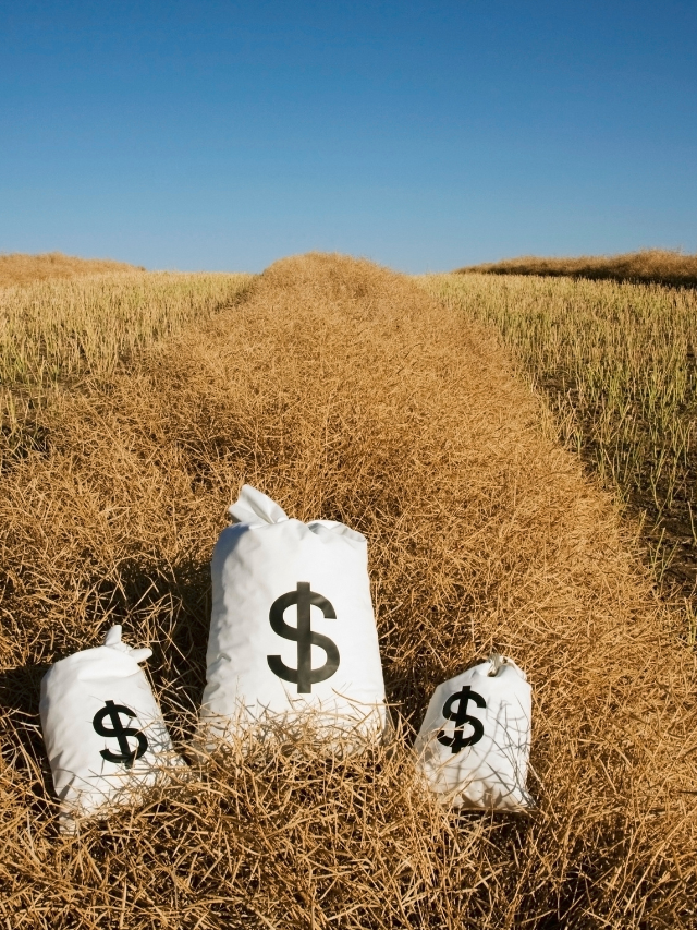 Financing the Future of Farming: Insights into the Farm Credit System