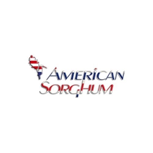 American Sorghum