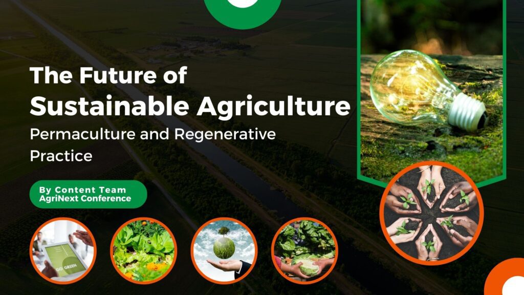 The Future of Sustainable Agriculture: Permaculture and Regenerative Practices