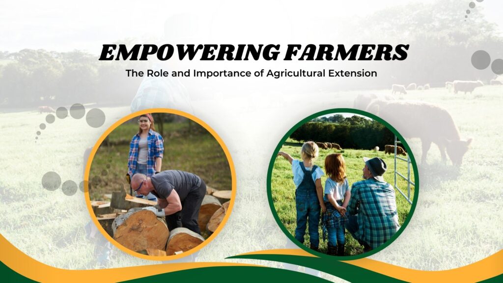 Empowering Farmers: The Role and Importance of Agricultural Extension