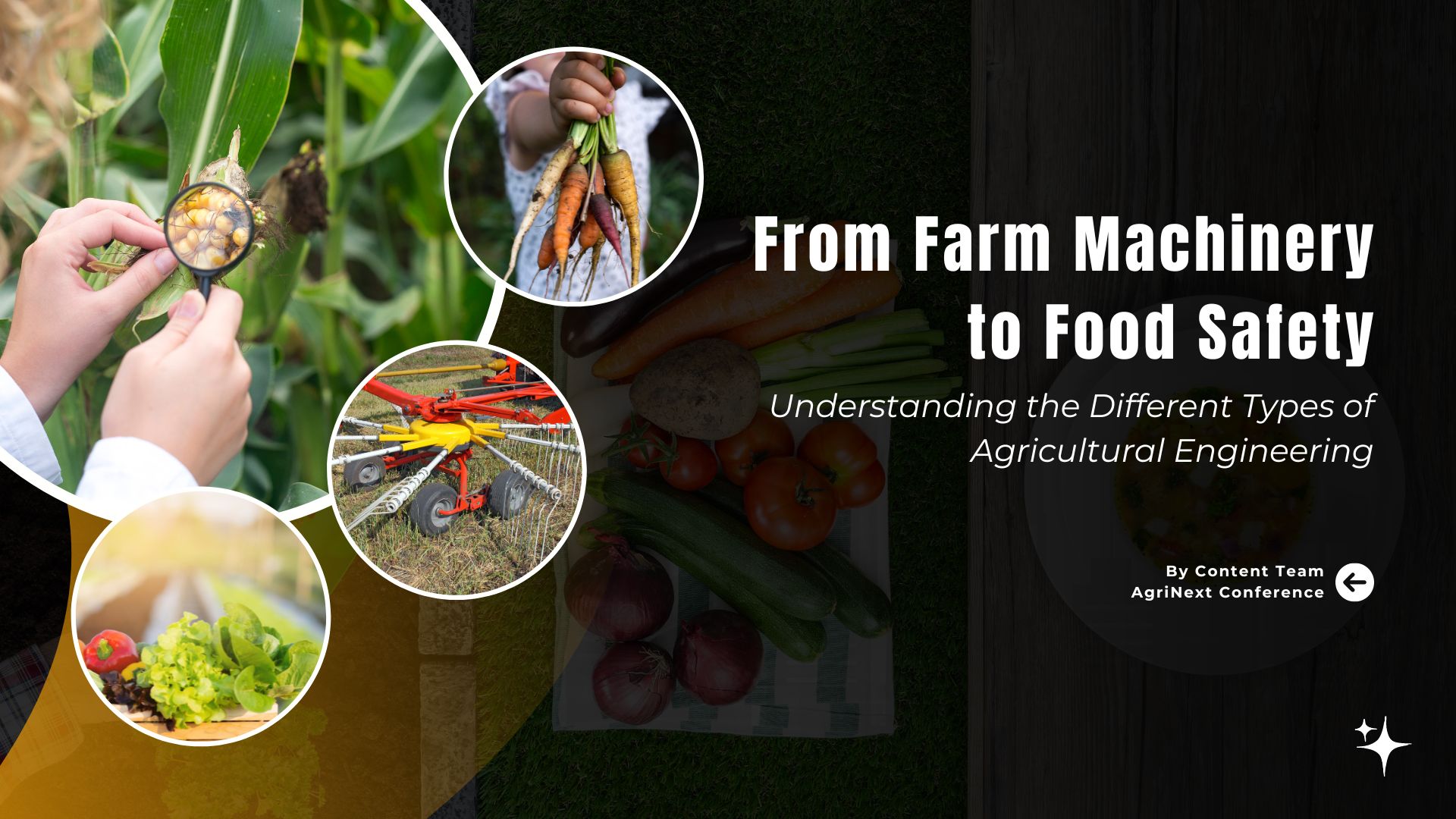 From Farm Machinery to Food Safety: Understanding the Different Types of Agricultural Engineering