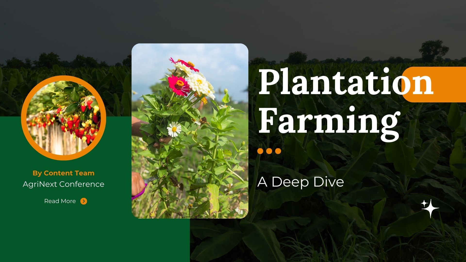 Plantation Farming: A Deep Dive