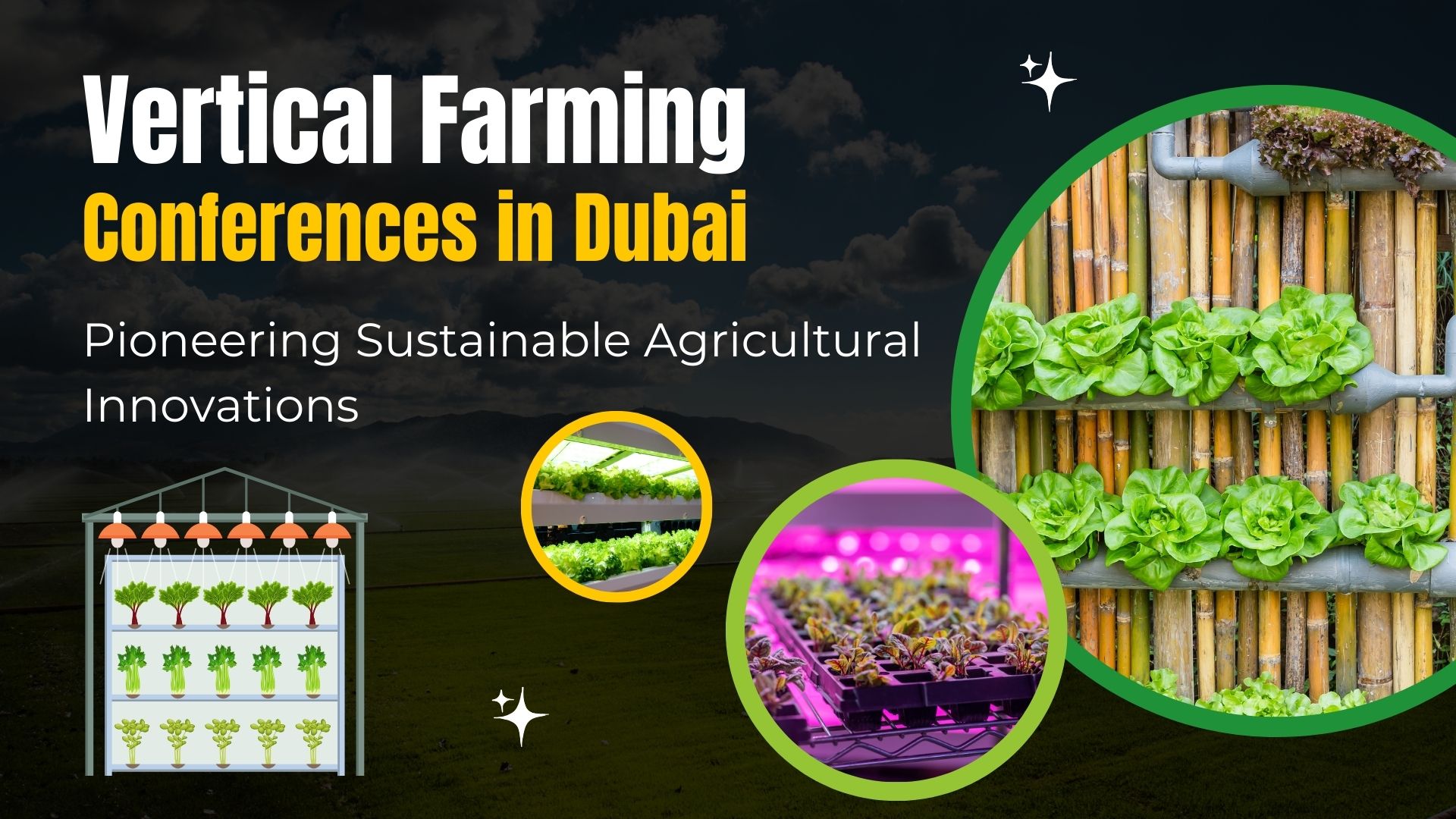 Top Vertical Farming Conferences in Dubai that you cant miss: Pioneering Sustainable Agricultural Innovations