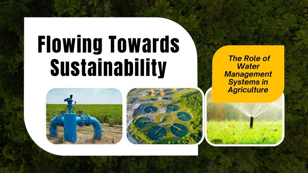Flowing Towards Sustainability: The Role of Water Management Systems in Agriculture