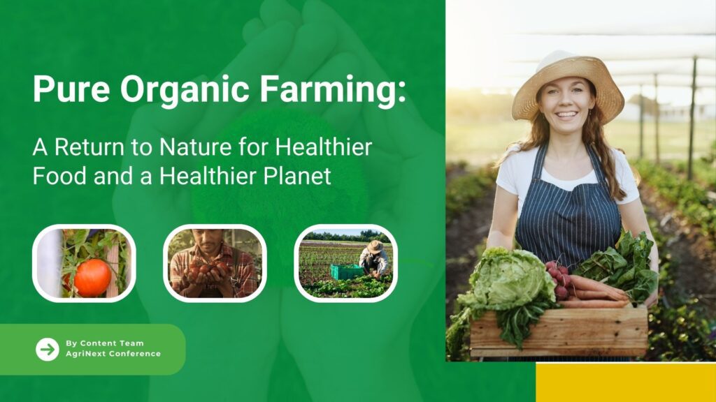 Pure Organic Farming: A Return to Nature for Healthier Food and a Healthier Planet