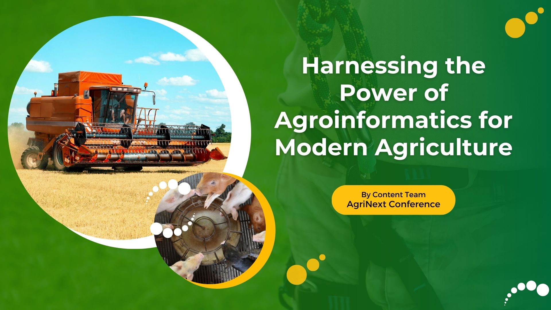 Harnessing the Power of Agroinformatics for Modern Agriculture