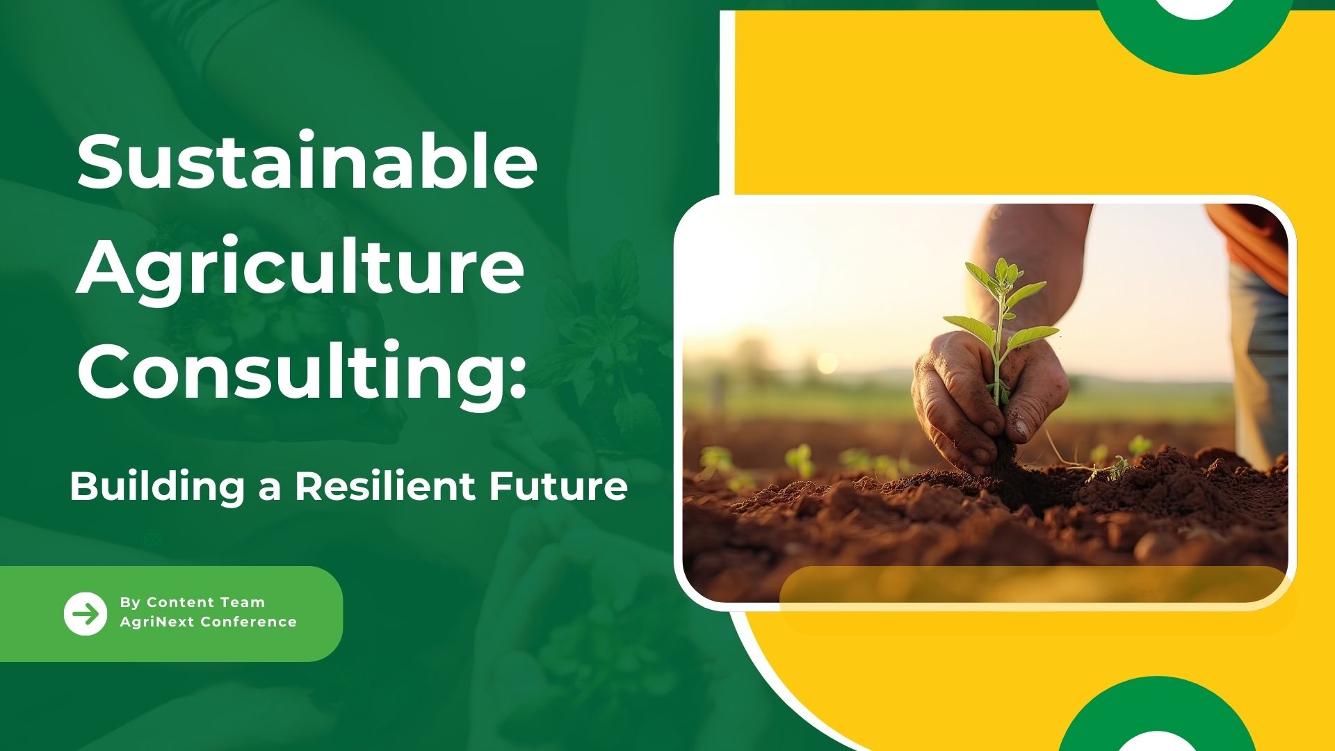 Sustainable Agriculture Consulting: Building a Resilient Future