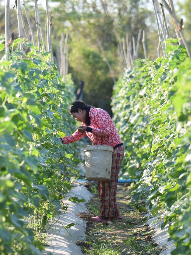 How Agritourism Can Diversify Income and Educate Communities