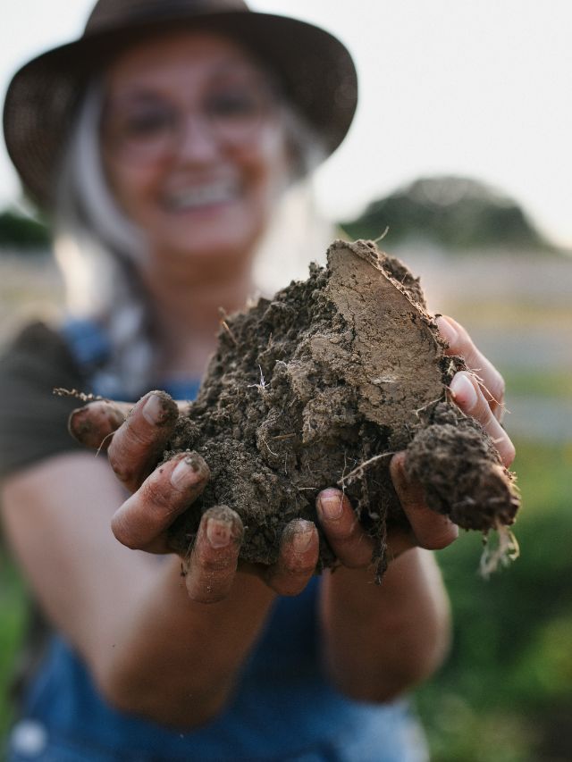 Unlocking the Secrets of Soil: The Foundation of Successful Farming