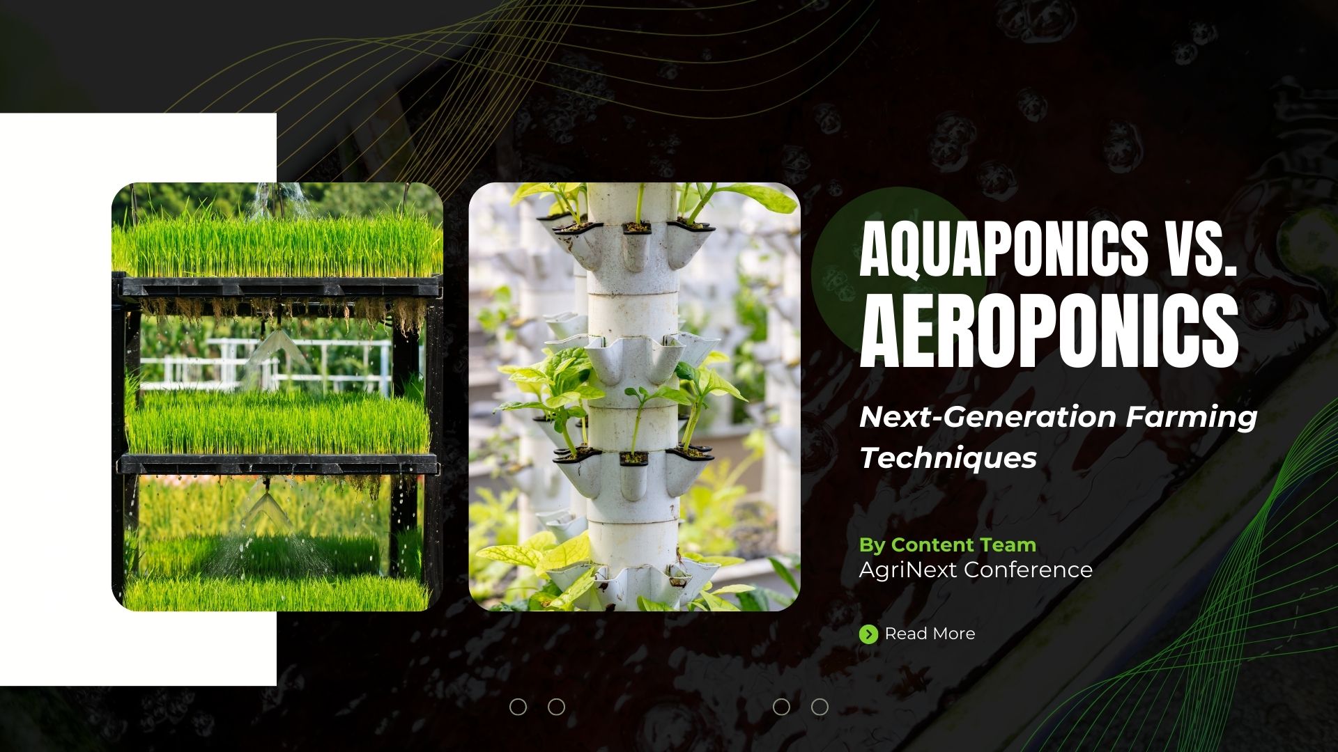 Aquaponics vs. Aeroponics: Next-Generation Farming Techniques