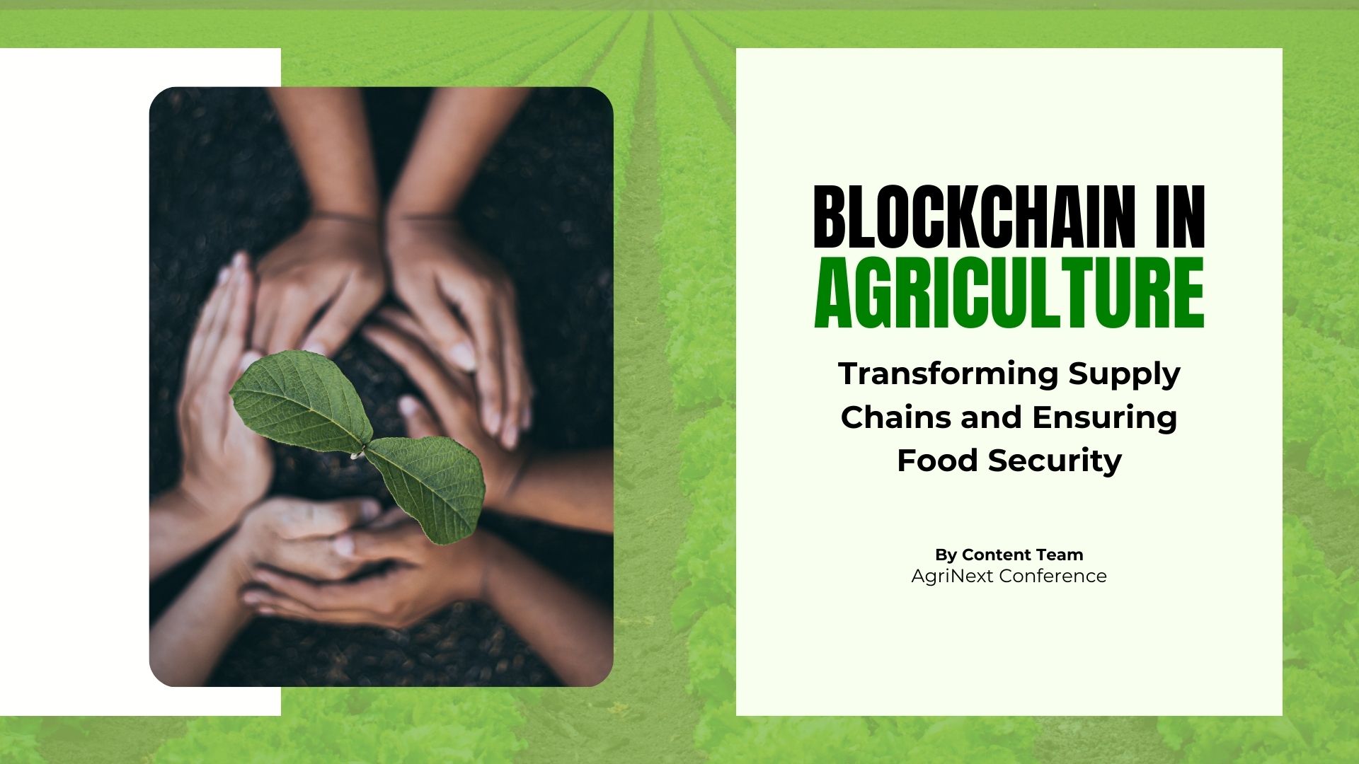 Blockchain in Agriculture: Transforming Supply Chains and Ensuring Food Security