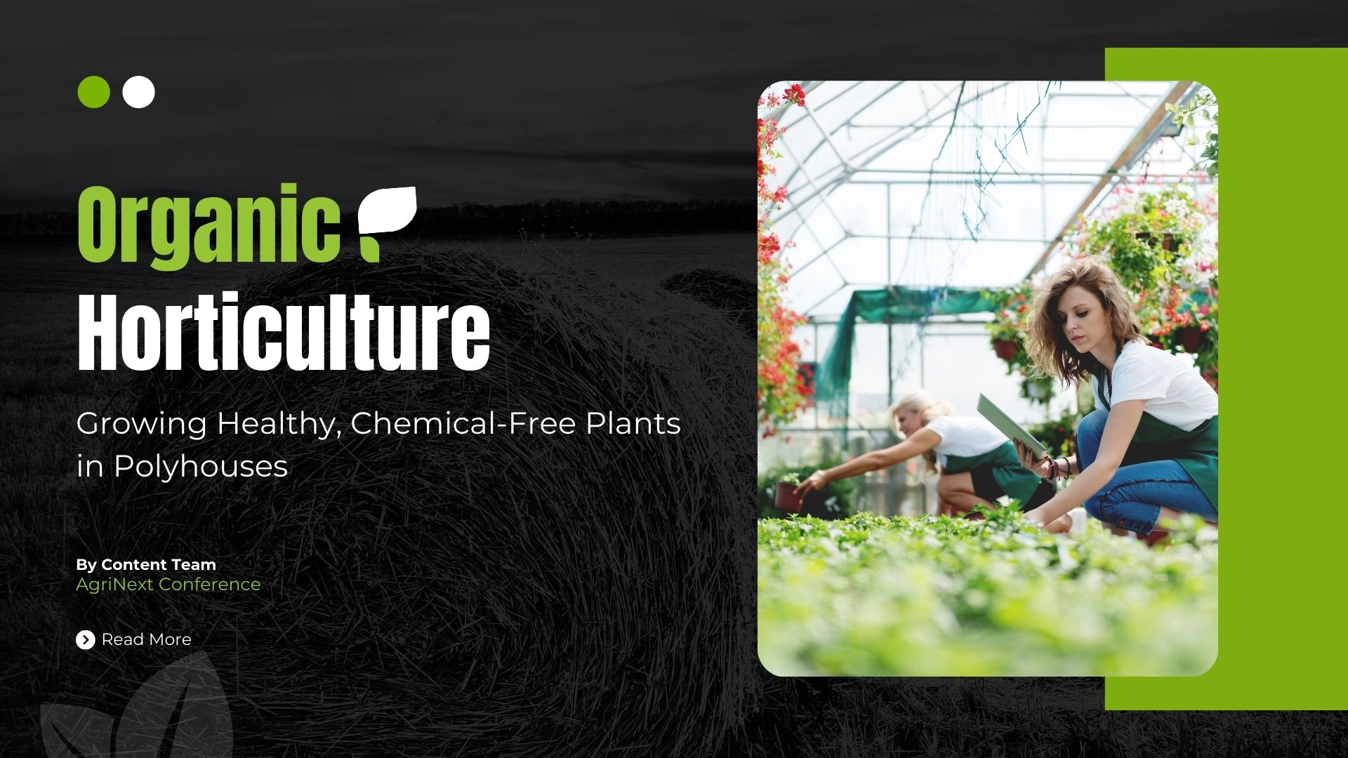 Organic Horticulture: Growing Healthy, Chemical-Free Plants in Polyhouses