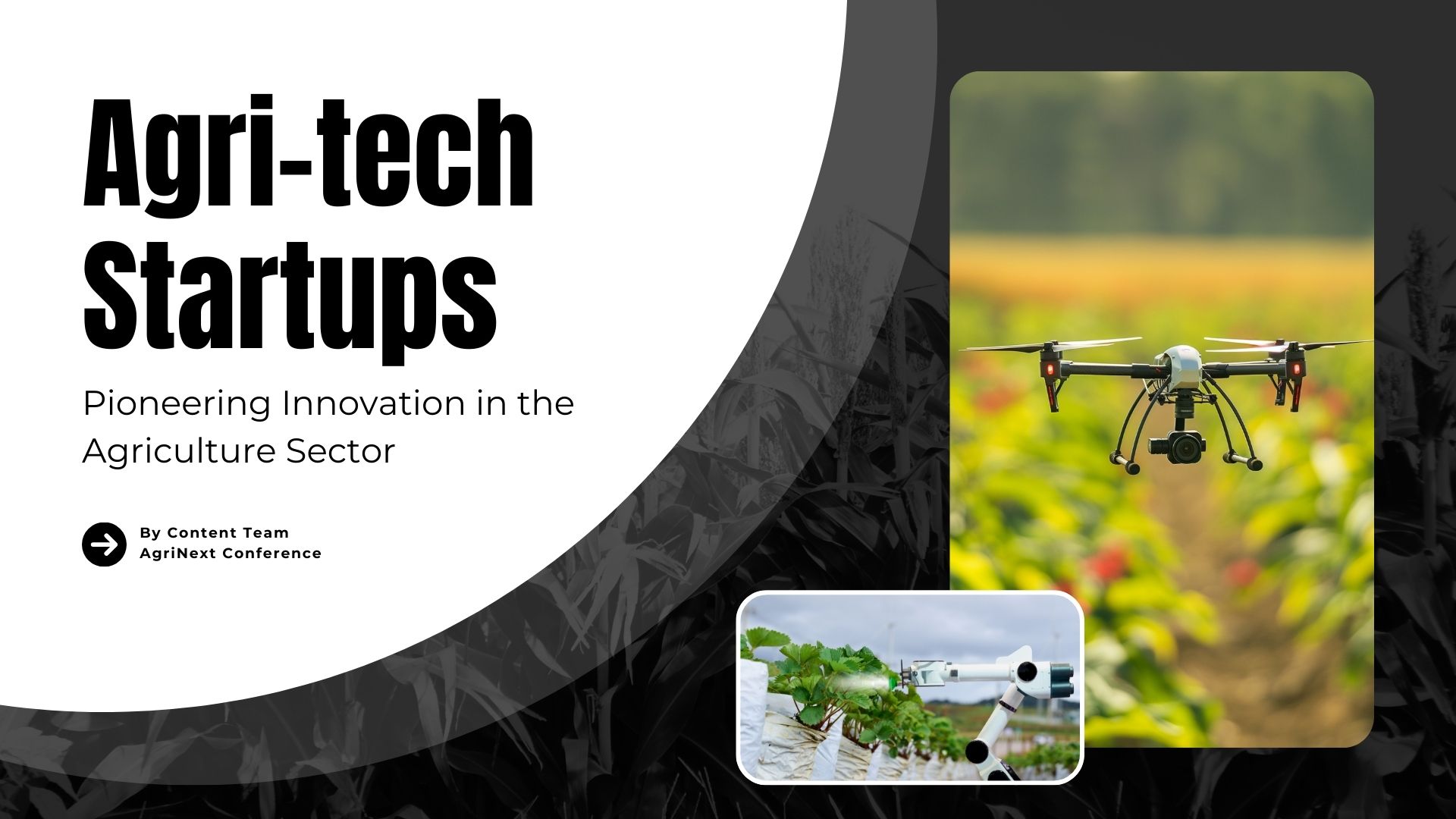 Agri tech Startups: Pioneering Innovation in the Agriculture Sector