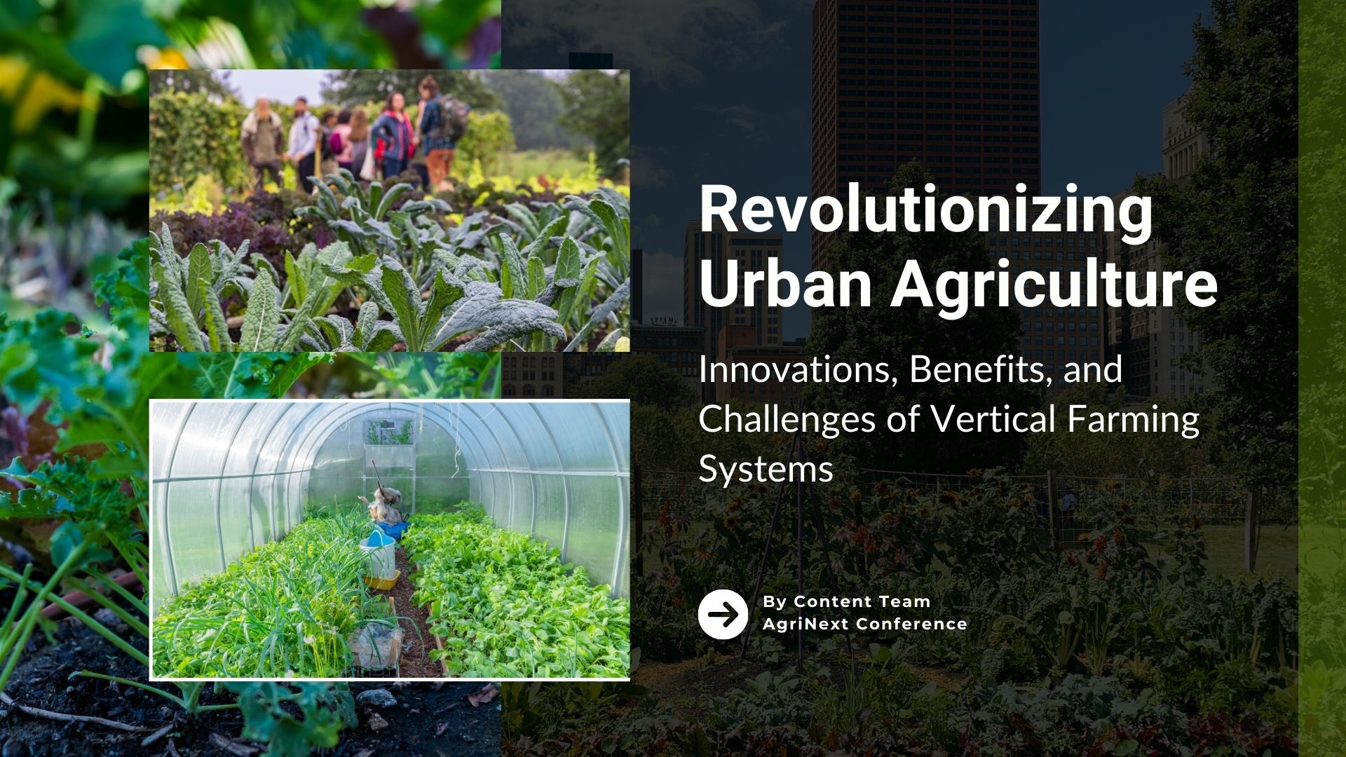 Revolutionizing Urban Agriculture: Innovations, Benefits, and Challenges of Vertical Farming Systems