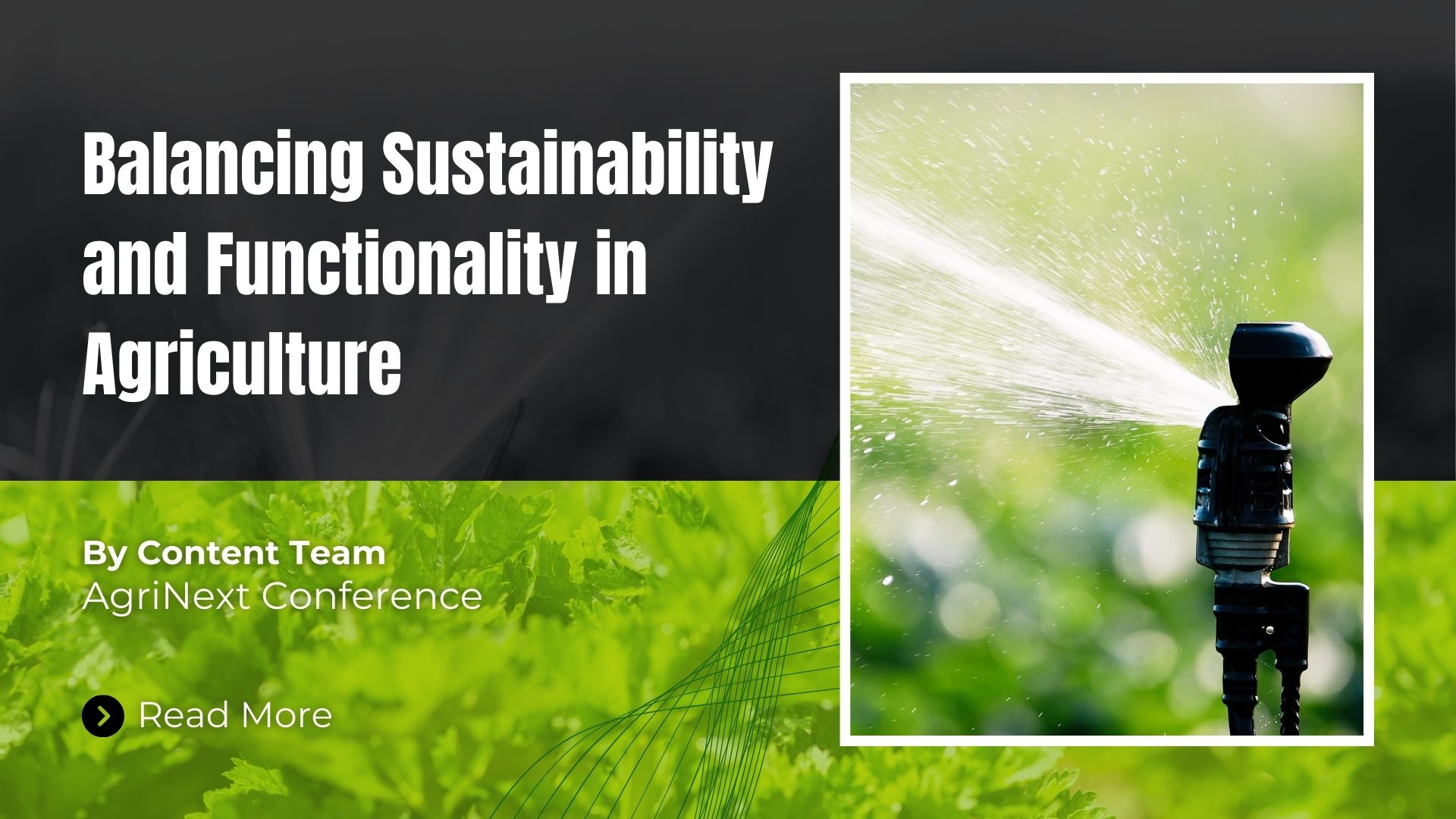 Balancing Sustainability and Functionality in Agriculture