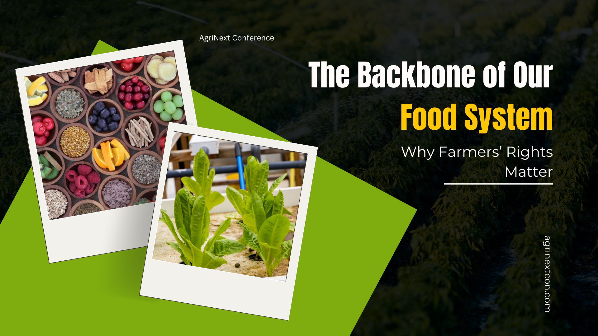 The Backbone of Our Food System: Why Farmers’ Rights Matter